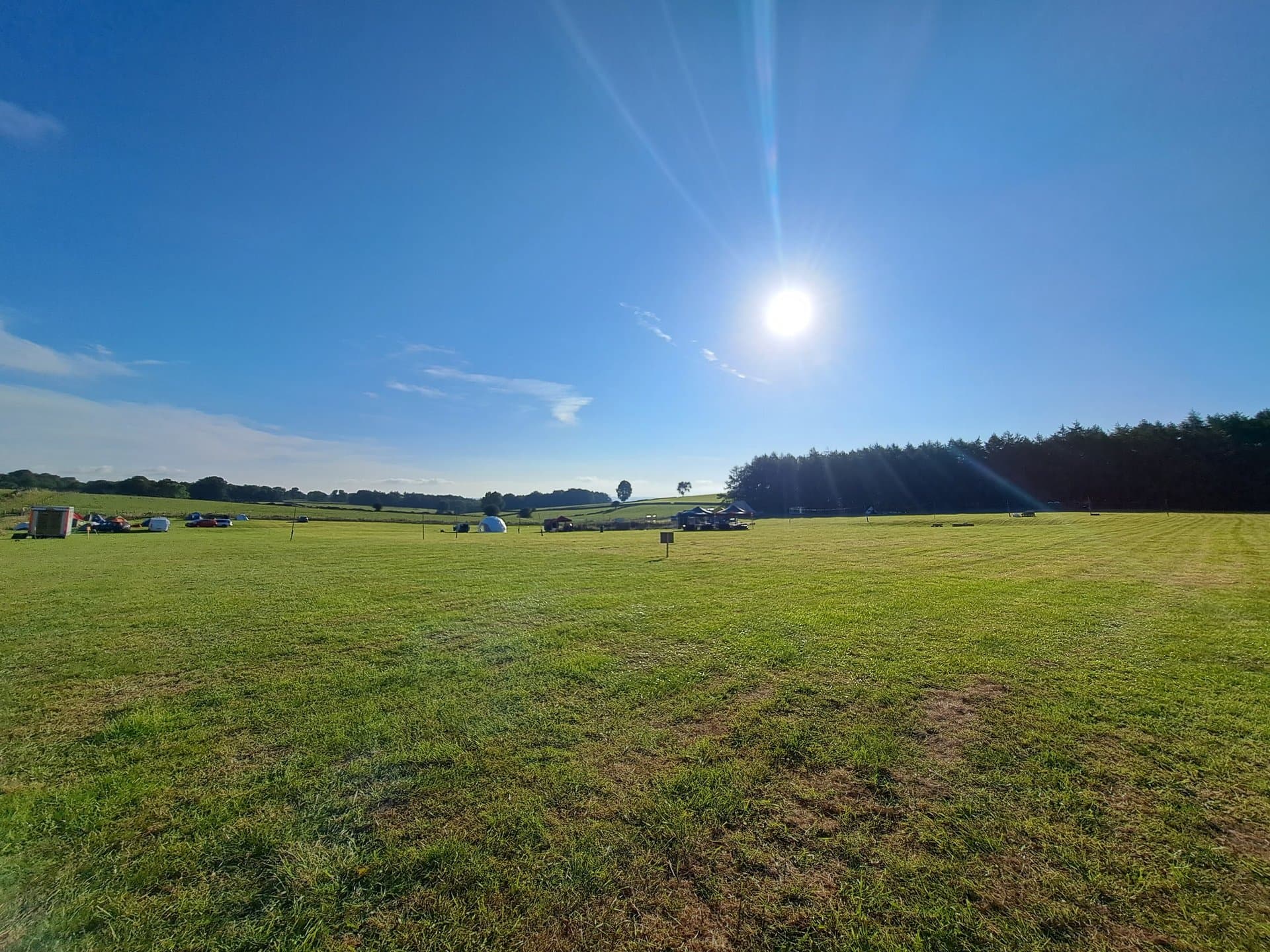 Sustainability at Rosa Festival